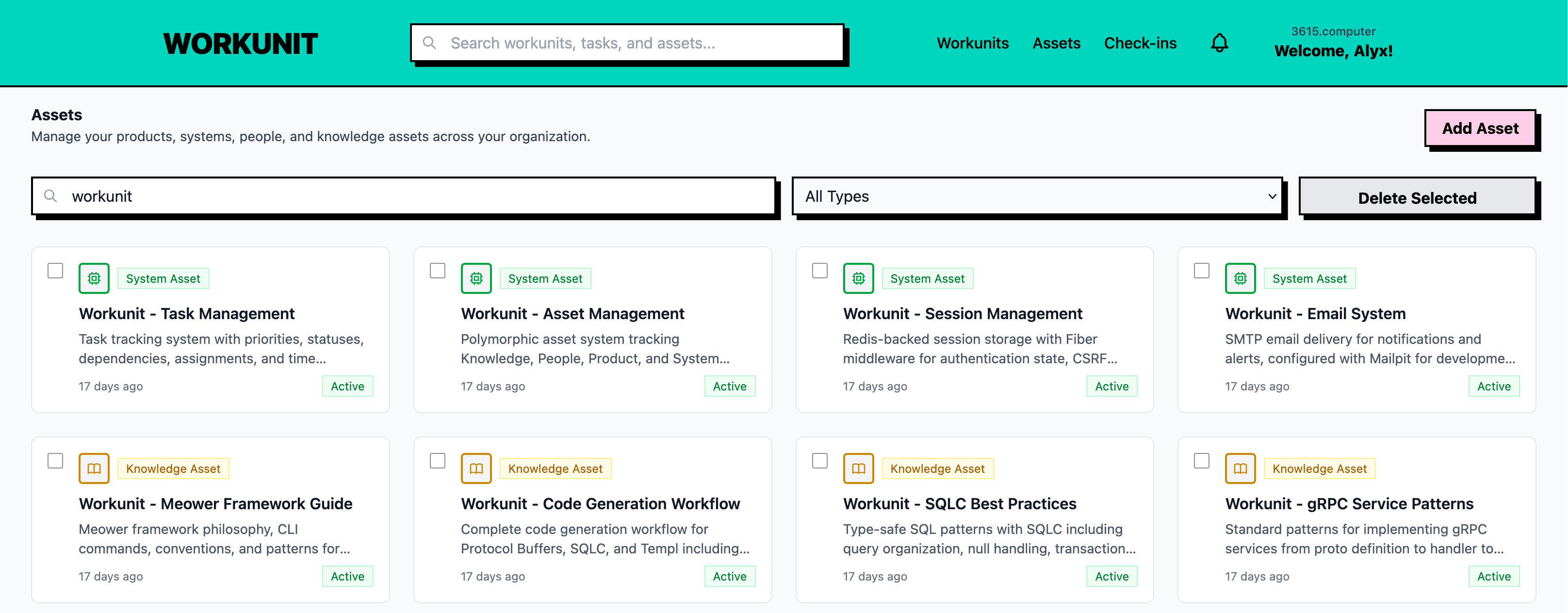Screenshot showing the assets page with different asset types